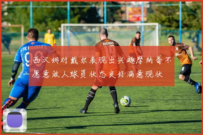 西汉姆对戴尔表现出兴趣摩纳哥不愿意放人球员状态良好满意现状
